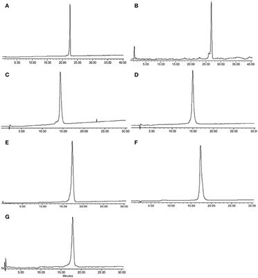 The Effect of Selective D- or Nα-Methyl Arginine Substitution on the Activity of the Proline-Rich Antimicrobial Peptide, Chex1-Arg20